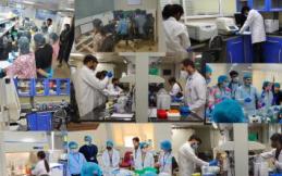 Central Molecular Lab